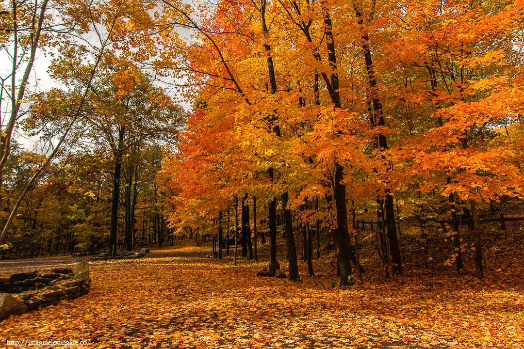 mohonk preserve visitor center parking lot